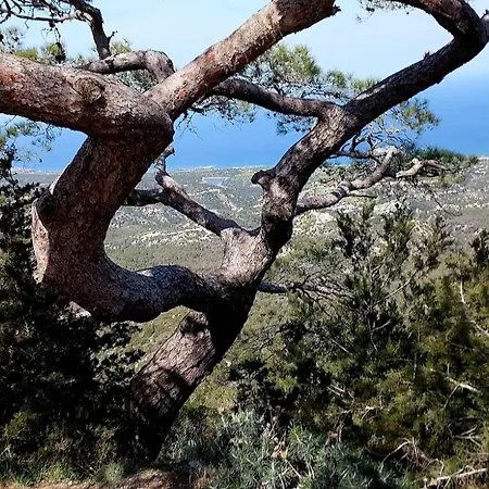 公寓 Sea View - Panorama, Long Beach, Iskele, Cyprus Island