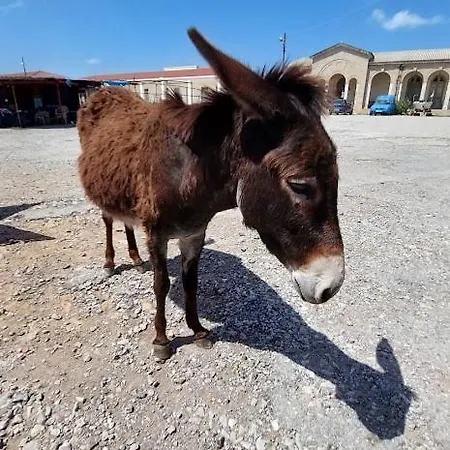 公寓 Sea View - Panorama, Long Beach, Iskele, Cyprus Island *
