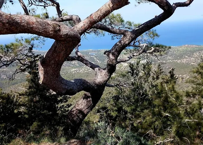 דירה Sea View - Panorama, Long Beach, Iskele, Cyprus Island